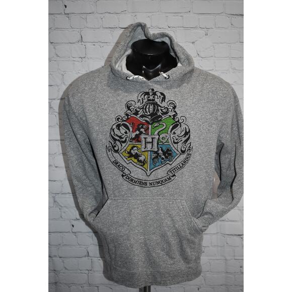 Wizarding World Harry Potter Slytherin Draco Hoodie Mens Size XL Gray - Picture 1 of 5